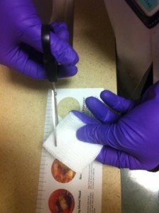 Wet to dry sizing the gauze