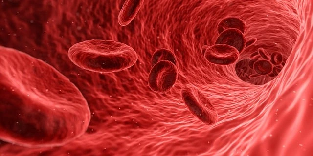 Venous thromboembolism in patients with thrombophilia